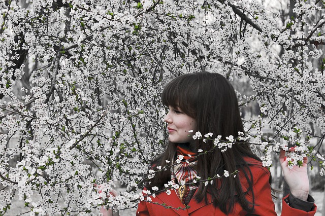 桜と美女